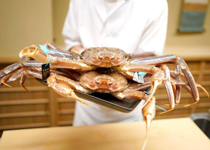 Two live snow crab at Kataori, a luxury of winter in Kanazawa.